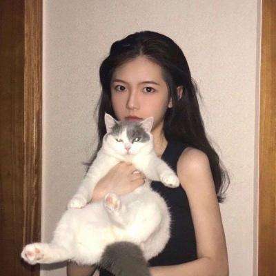 口袋宠物世界单机版下载